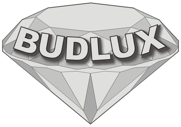 Zdjęcie na okładce dla Budlux